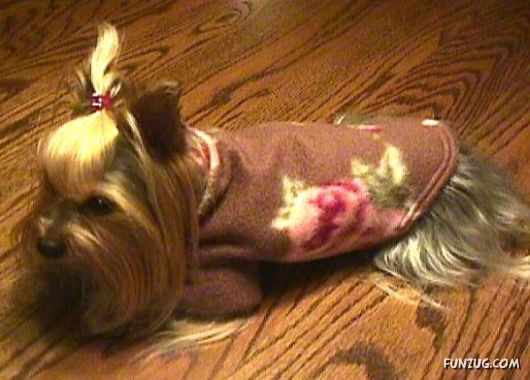 Feeling Warm in Your New Winter Wear