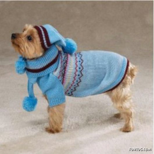 Feeling Warm in Your New Winter Wear