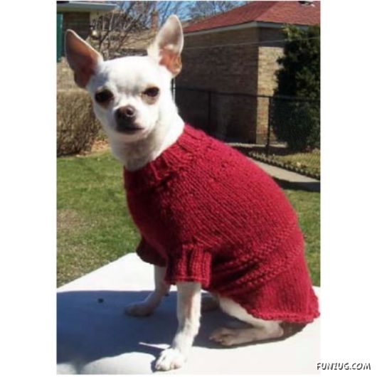 Feeling Warm in Your New Winter Wear