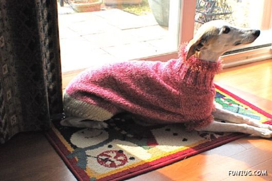 Feeling Warm in Your New Winter Wear