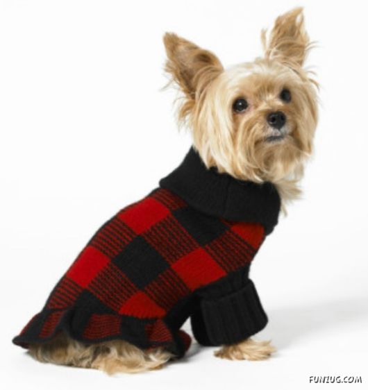 Feeling Warm in Your New Winter Wear