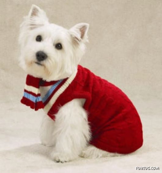 Feeling Warm in Your New Winter Wear