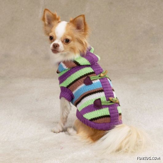 Feeling Warm in Your New Winter Wear