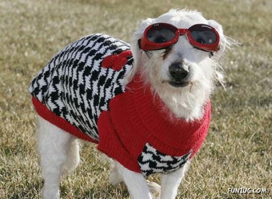 Feeling Warm in Your New Winter Wear