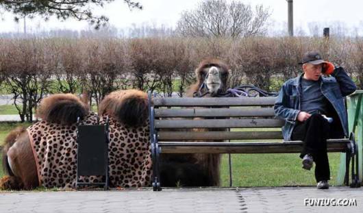 Some Funny Animals Pics