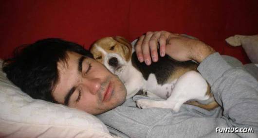 Some Funny Animals Pics