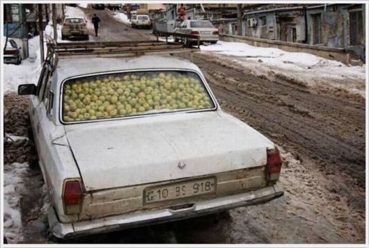 Funny Cool Pix Collection