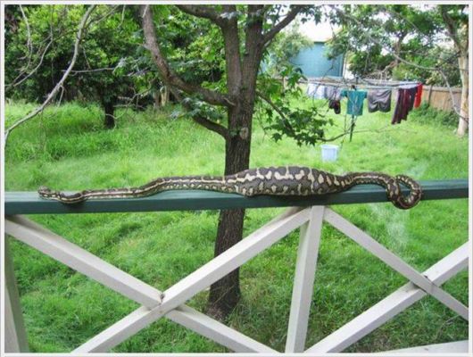 Funny Cool Pix Collection