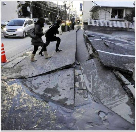 Funny Cool Pix Collection