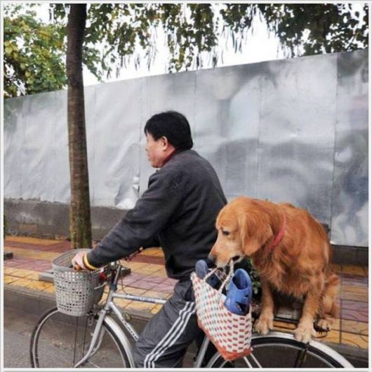 Funny Cool Pix Collection