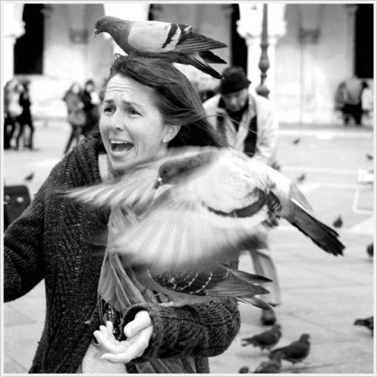 Funny Cool Pix Collection