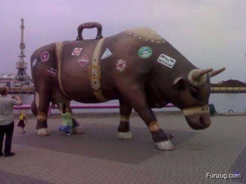 Funny Memorials Collection