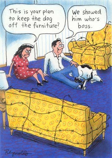 Some Funny Toons of the Day