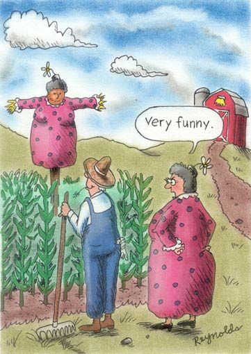 Some Funny Toons of the Day