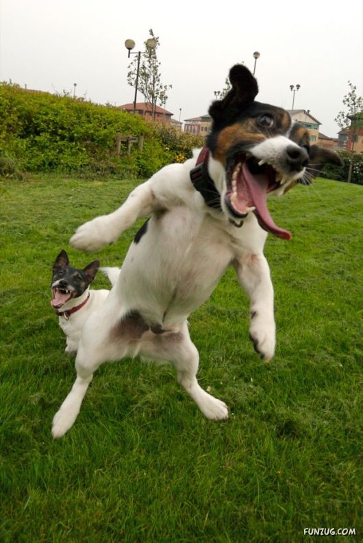 It's Fun Time Guyz