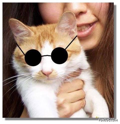 Lets Have Some Fun with Cat