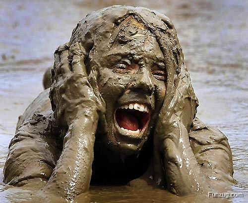 Funny Pictures of the Day