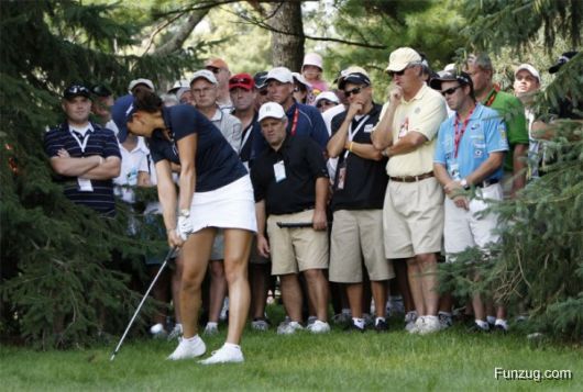 Funny Pictures of the Day