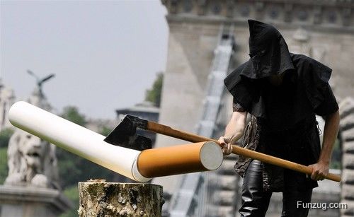 Funny Pictures of the Day