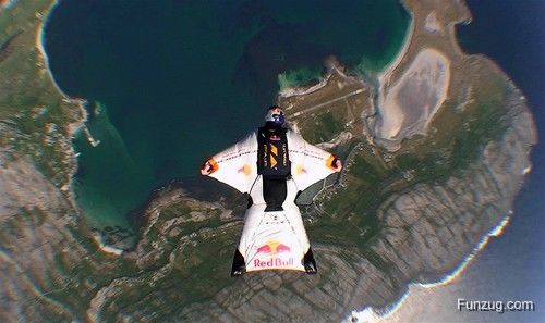 Funny Pictures of the Day