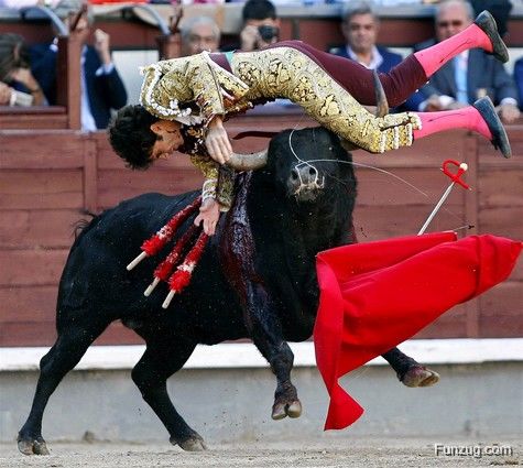 Funny Pictures of the Day