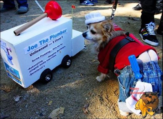 Cute Halloween Doggy Parade