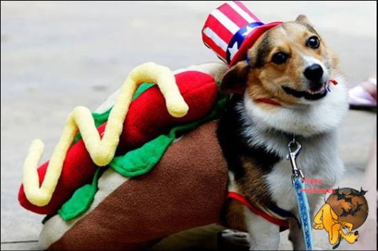 Cute Halloween Doggy Parade