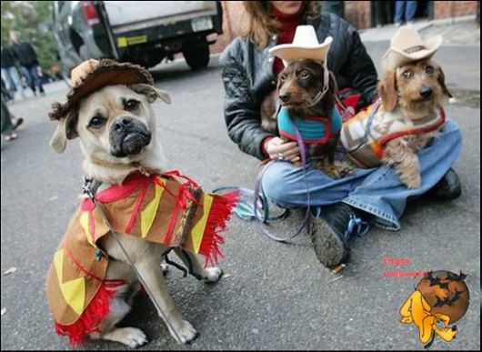 Cute Halloween Doggy Parade