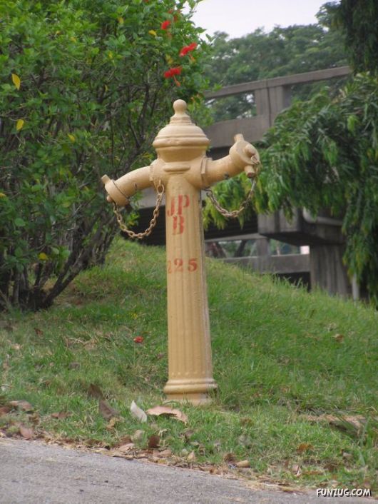 This Happens only in Malaysia