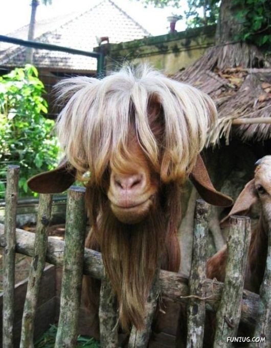 Himesh Reshamiya in a Perfect New Look