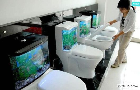 Very Interesting Funny Images