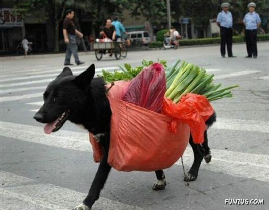 Very Interesting Funny Images