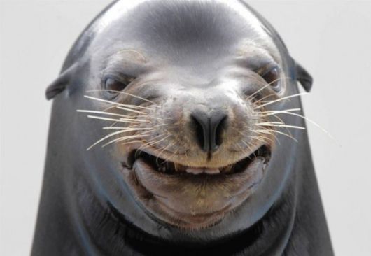 The Least Photogenic Animals On The Planet