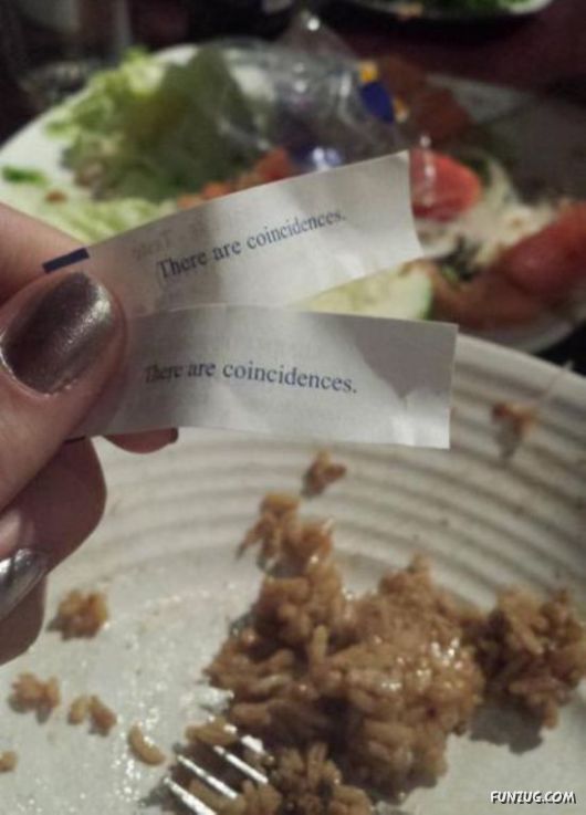 Life Is Full Of Coincidences