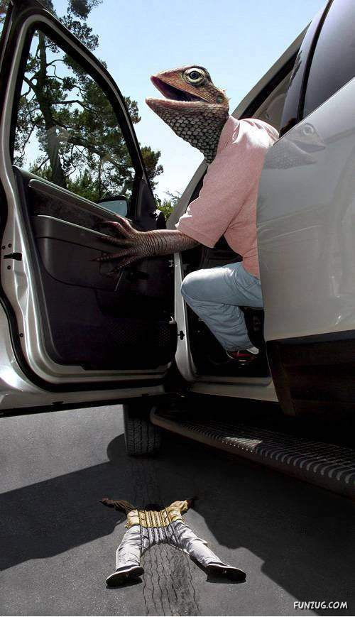 Funny World of Lizards