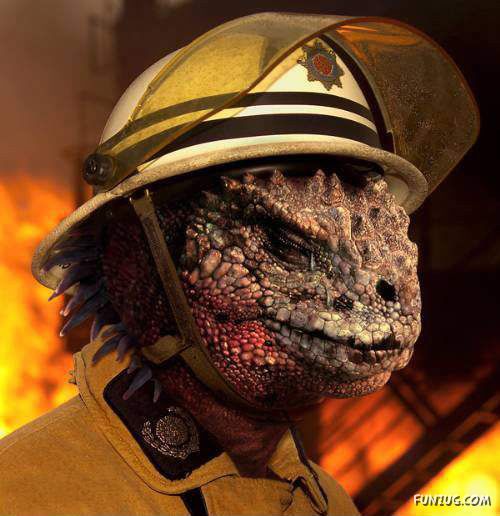 Funny World of Lizards