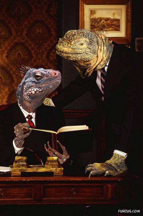 Funny World of Lizards