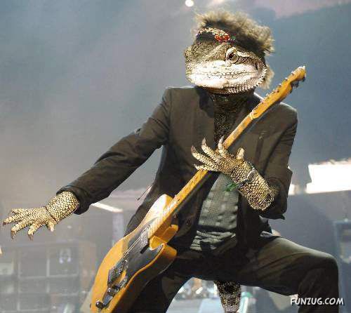 Funny World of Lizards