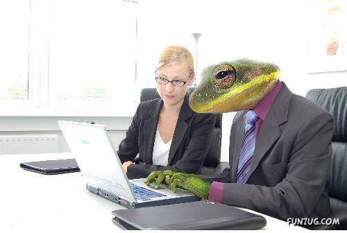 Funny World of Lizards