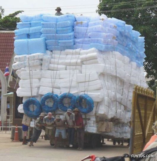 Skillful Masters of Transportation