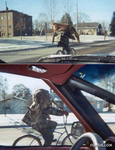 Skillful Masters of Transportation