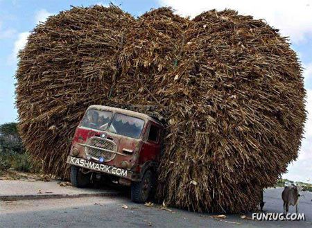 Skillful Masters of Transportation