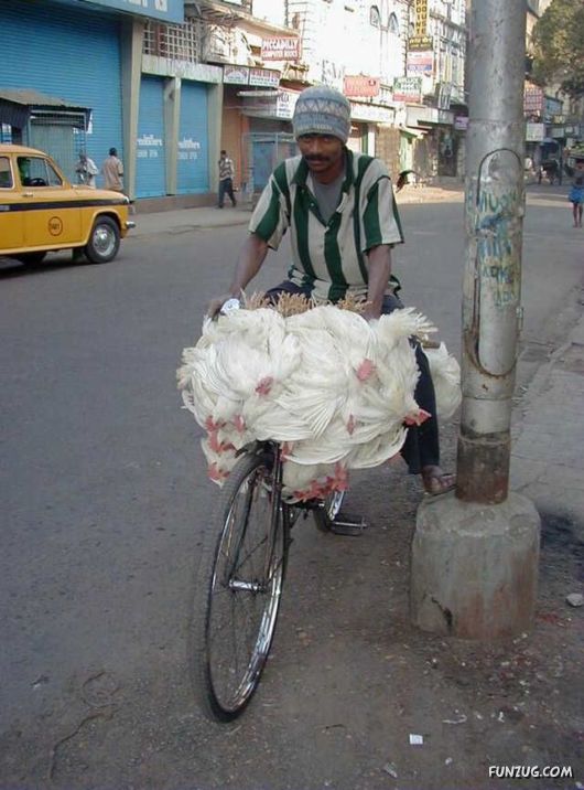 Skillful Masters of Transportation