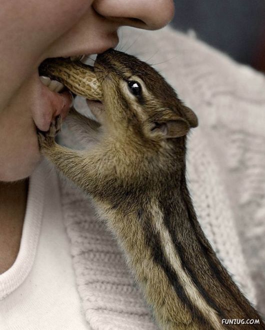 Mix Funny Pictures of the Day