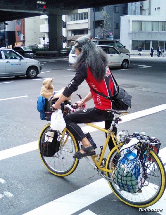 Some Mix Funny Pix of the Day