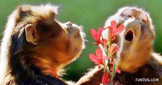 Some Mix Funny Pix of the Day