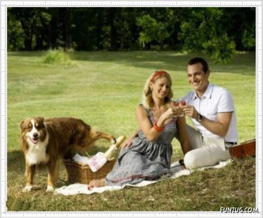 Mix Fun Pictures of the Day