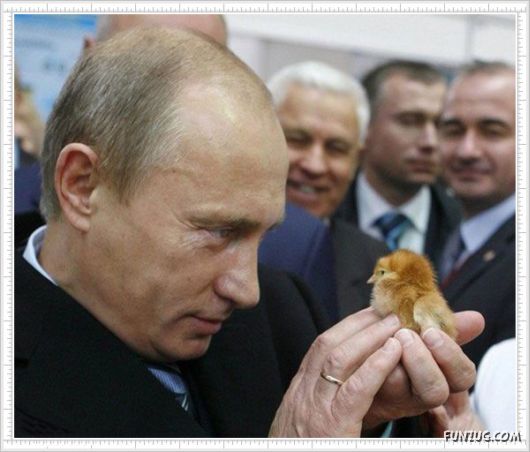 Mix Fun Pictures of the Day