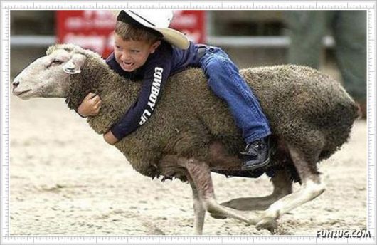 Mix Fun Pictures of the Day