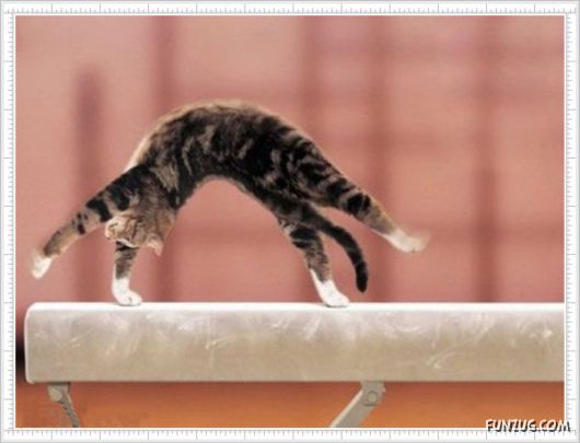 Mix Fun Pictures of the Day